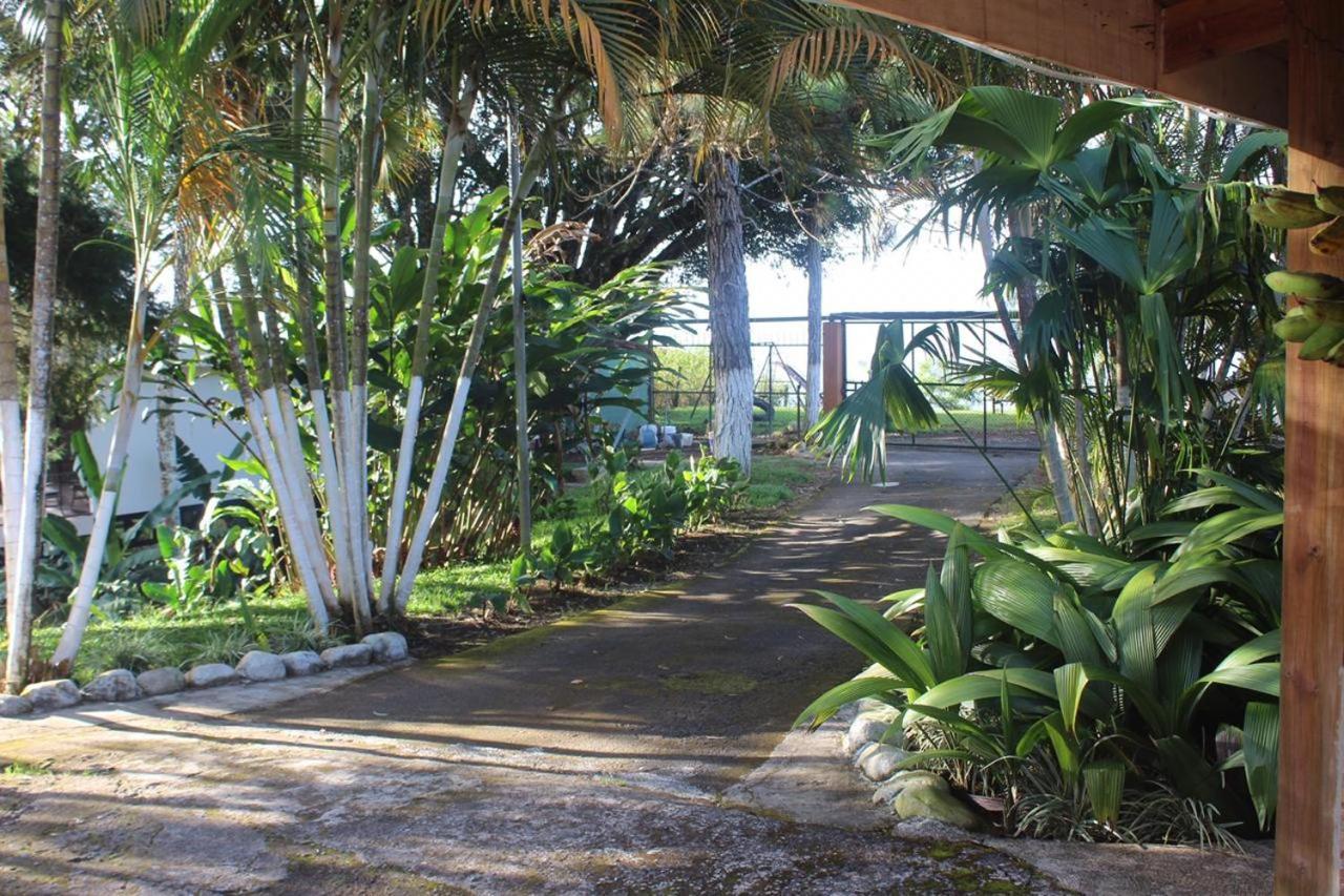 Quinta Los Volcanes Turrialba Exterior photo