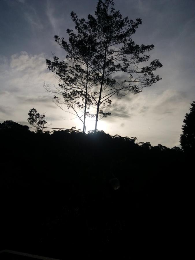 Quinta Los Volcanes Turrialba Exterior photo