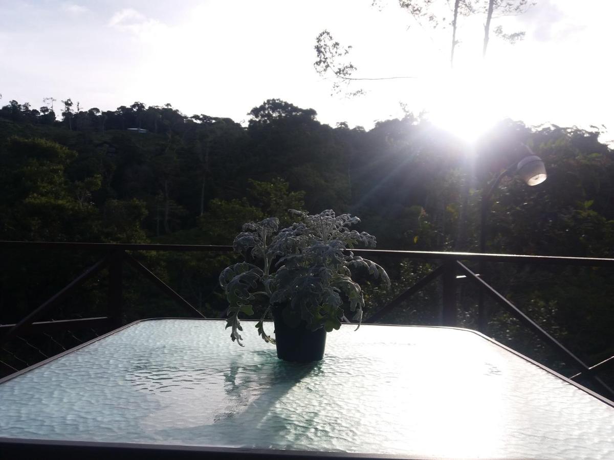 Quinta Los Volcanes Turrialba Exterior photo