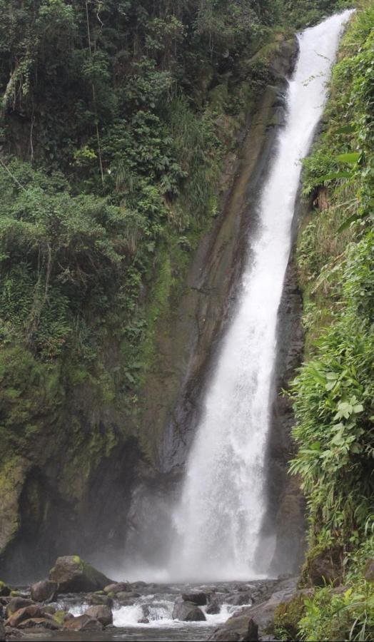 Quinta Los Volcanes Turrialba Exterior photo