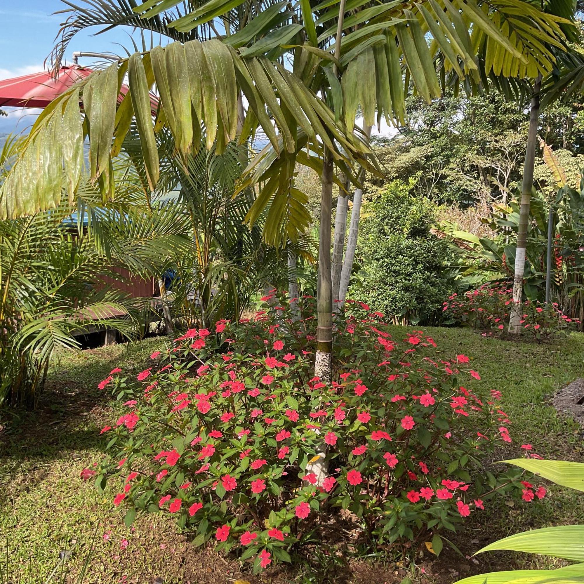 Quinta Los Volcanes Turrialba Exterior photo